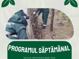 Programul Gospodărire Urbană pentru îngrijirea spațiilor verzi. Iată în ce zone se lucrează săptămâna aceasta