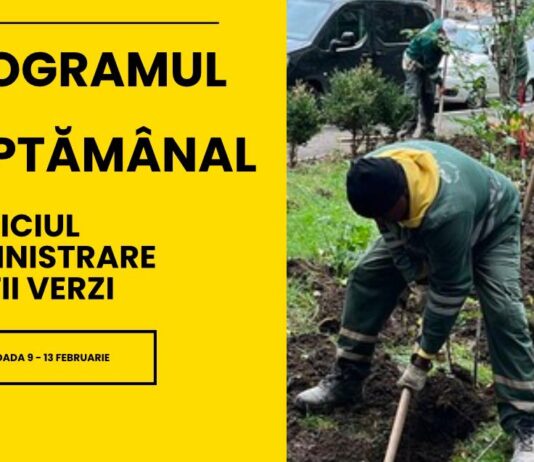 Lucrări de întreținere a spațiilor verzi. Iată în ce zone acționează Gospodărire Urbană
