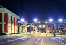 Asigurare tip carte verde falsă, descoperită la frontieră