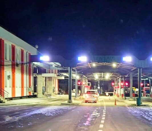 Asigurare tip carte verde falsă, descoperită la frontieră