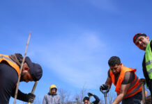 Păduri urbane, la Galați. Se plantează aproape 200.000 de arbori și arbuști în patru zone ale orașului