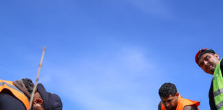 Păduri urbane, la Galați. Se plantează aproape 200.000 de arbori și arbuști în patru zone ale orașului