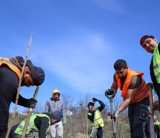 Păduri urbane, la Galați. Se plantează aproape 200.000 de arbori și arbuști în patru zone ale orașului