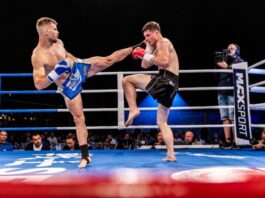 Rezultate remarcabile pentru Clubul Sportiv K1 Galați la Elite Fighting Championship