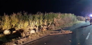 Accident rutier cu trei răniți provocat de un căruțaș băut