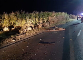 Accident rutier cu trei răniți provocat de un căruțaș băut