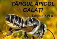 O nouă ediție a Târgului Apicol, în Piața Centrală din Galați