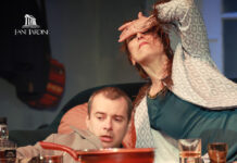 Trei spectacole în acest weekend la Teatrul Dramatic „Fani Tardini”