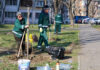 1.500 de copaci vor fi plantați în Galați, în această primăvară