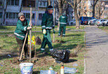 1.500 de copaci vor fi plantați în Galați, în această primăvară
