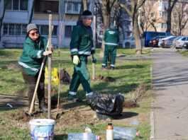 1.500 de copaci vor fi plantați în Galați, în această primăvară