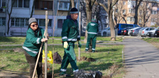 1.500 de copaci vor fi plantați în Galați, în această primăvară