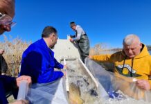 Balta Zătun a fost repopulată cu pește pentru sezonul de pescuit 2026