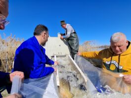 Balta Zătun a fost repopulată cu pește pentru sezonul de pescuit 2026