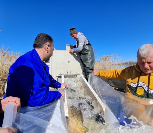 Balta Zătun a fost repopulată cu pește pentru sezonul de pescuit 2026