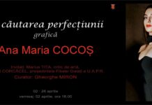 ”În căutarea perfecțiunii”, la Muzeul de Artă Vizuală