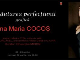 ”În căutarea perfecțiunii”, la Muzeul de Artă Vizuală