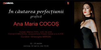 ”În căutarea perfecțiunii”, la Muzeul de Artă Vizuală