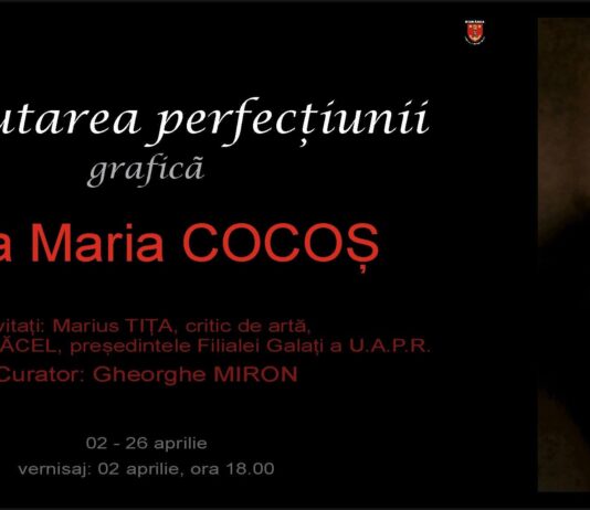 ”În căutarea perfecțiunii”, la Muzeul de Artă Vizuală