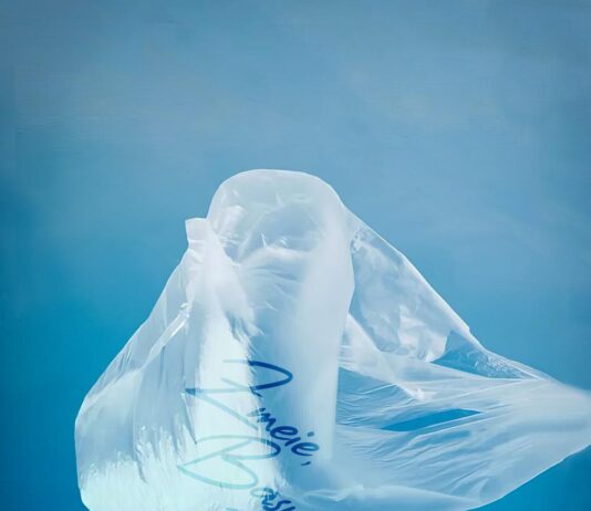 Premiera spectacolului ”Zmeie, Basme și Fantasme”, la Teatrul ”Gulliver”