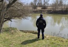 Conducea o ambarcațiune cu motor fără a avea brevet sau certificat de capacitate