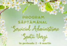 Program. Iată unde vor lucra angajații de la Spații Verzi în această săptămână