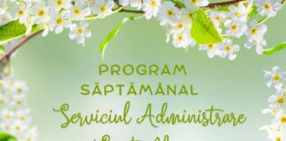 Program. Iată unde vor lucra angajații de la Spații Verzi în această săptămână