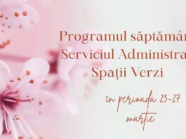 Gospodărire Urbană: „Intervenim zilnic în parcuri, în cartiere și în zone verzi pentru întreținere, plantări și pregătirea sezonului de primăvară”