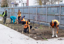 Ionuț Pucheanu: „Înființarea pădurilor urbane vine în completarea acțiunilor noastre pentru un oraș prietenos cu mediul”