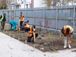 Ionuț Pucheanu: „Înființarea pădurilor urbane vine în completarea acțiunilor noastre pentru un oraș prietenos cu mediul”