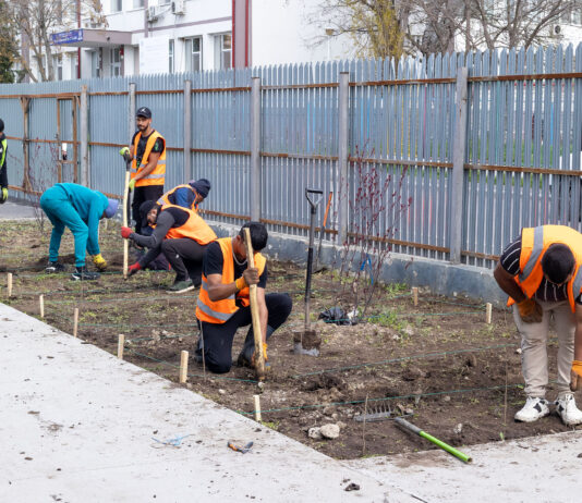 Ionuț Pucheanu: „Înființarea pădurilor urbane vine în completarea acțiunilor noastre pentru un oraș prietenos cu mediul”