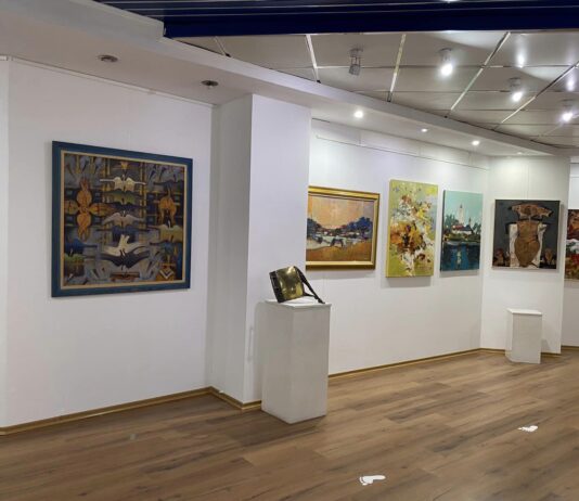 Scurtmetraje premiate, proiecție specială la Muzeul de Artă Vizuală