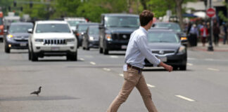 Peste 260 de sacțiuni aplicate în weekend de polițiști pietonilor și bicicliștilor