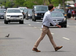 Peste 200 de bicicliști și pietoni, sancționați de polițiști într-o singură zi