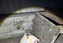 Bărbat reținut după ce a înjunghiat un cățel