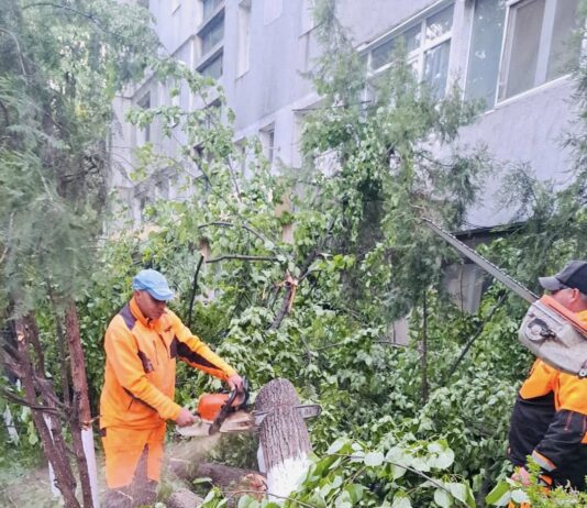 La Galați, vântul puternic a pus la pământ copaci
