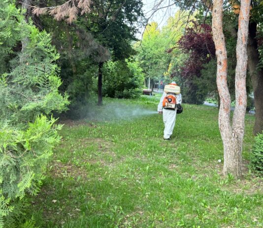 Vineri dimineață, acțiune de dezinsecție pe Faleza Inferioară a Dunării
