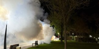 Dezinsecție la sol, săptămâna viitoare, pentru combaterea căpușelor și altor insecte dăunătoare