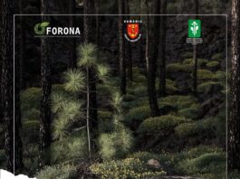 Cele mai frumoase fotografii de natură, expuse la Complexul Muzeal de Științele Naturii Galați