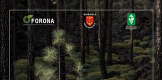 Cele mai frumoase fotografii de natură, expuse la Complexul Muzeal de Științele Naturii Galați