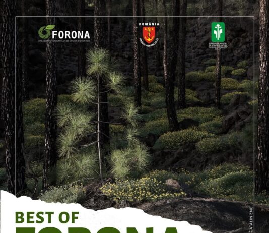 Cele mai frumoase fotografii de natură, expuse la Complexul Muzeal de Științele Naturii Galați