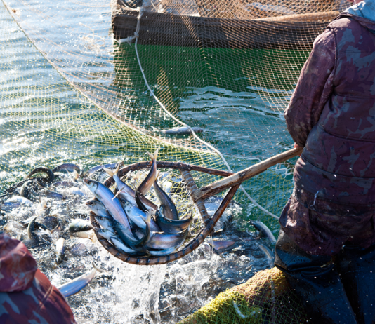 Acțiuni pentru combaterea braconajului piscicol