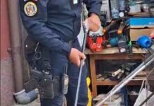 Vizitator neașteptat într-o gospodărie din Vânători, îndepărtat de jandarmi