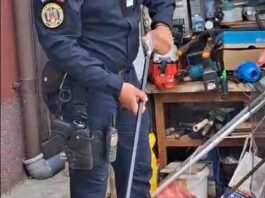 Vizitator neașteptat într-o gospodărie din Vânători, îndepărtat de jandarmi