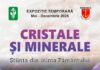 „Cristale și Minerale – Știința din inima Pământului”, o nouă expoziție la Complexul Muzeal de Științele Naturii Galați