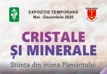 „Cristale și Minerale – Știința din inima Pământului”, o nouă expoziție la Complexul Muzeal de Științele Naturii Galați