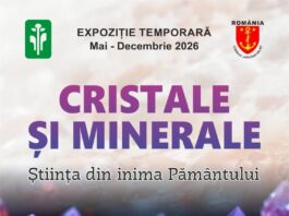 „Cristale și Minerale – Știința din inima Pământului”, o nouă expoziție la Complexul Muzeal de Științele Naturii Galați