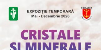 „Cristale și Minerale – Știința din inima Pământului”, o nouă expoziție la Complexul Muzeal de Științele Naturii Galați