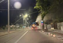 Dezinsecția continuă și la noapte
