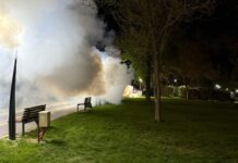Dezinsecție la sol, pe timpul nopții, pentru combaterea căpușelor și altor insecte dăunătoaree